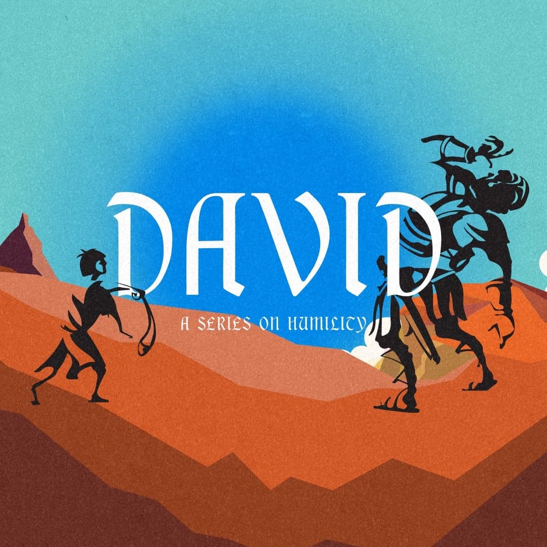 David