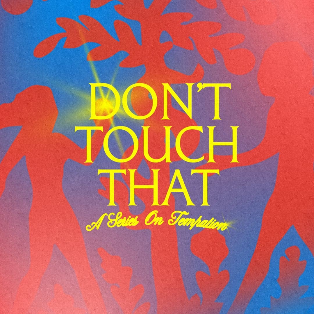 Don't Touch That