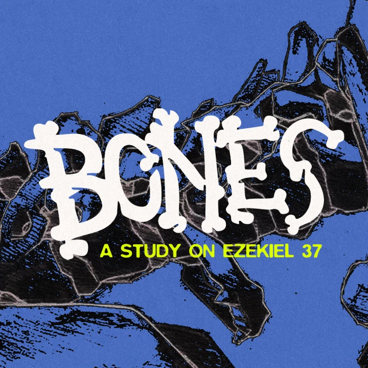 Bones